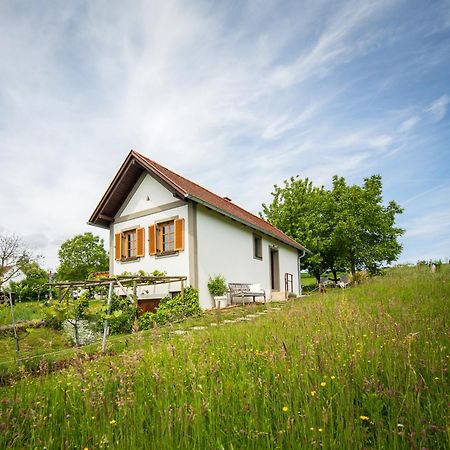 فيلا Weinlofts Weinloft I Edlitz im Burgenland المظهر الخارجي الصورة
