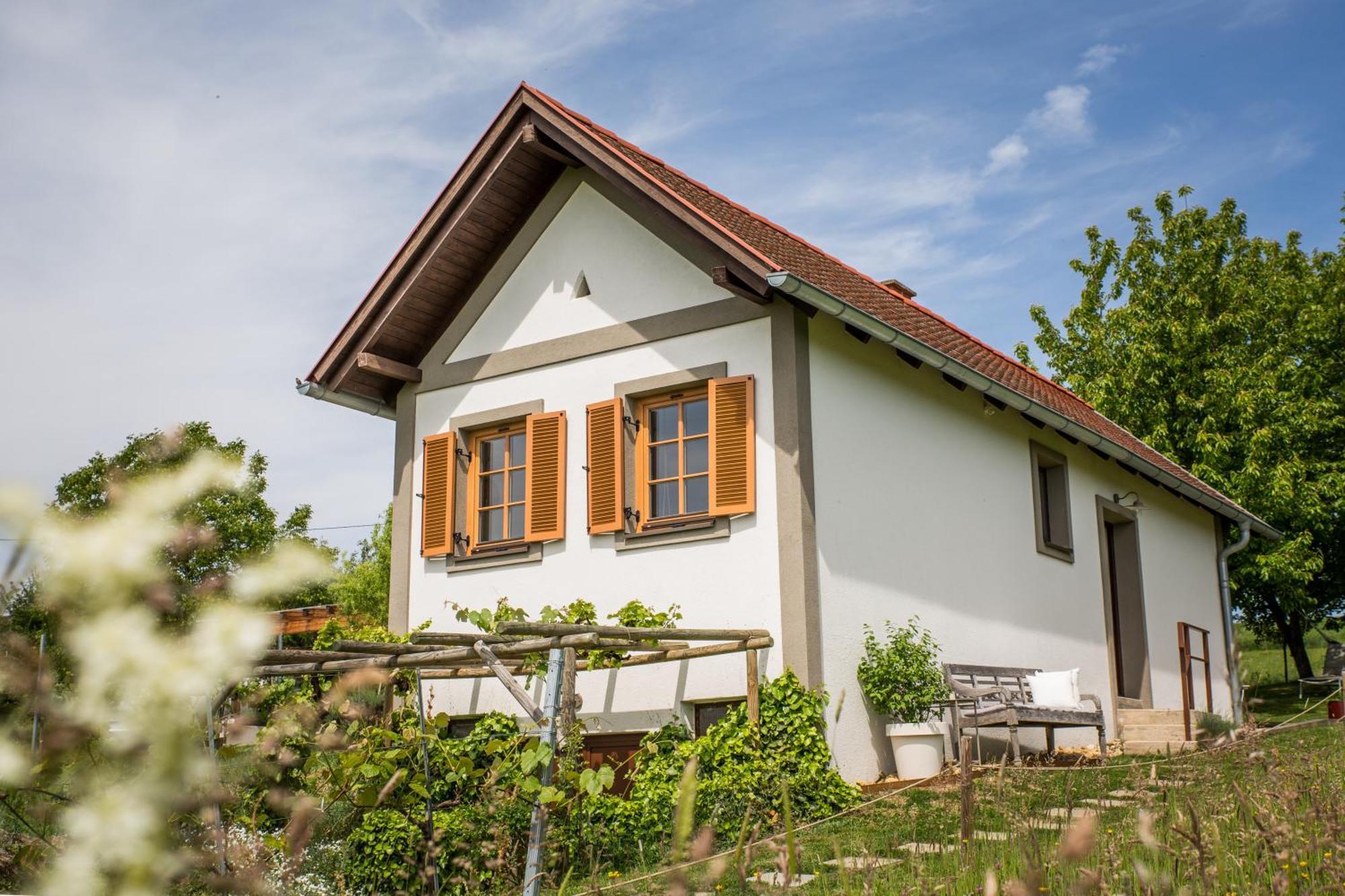فيلا Weinlofts Weinloft I Edlitz im Burgenland المظهر الخارجي الصورة