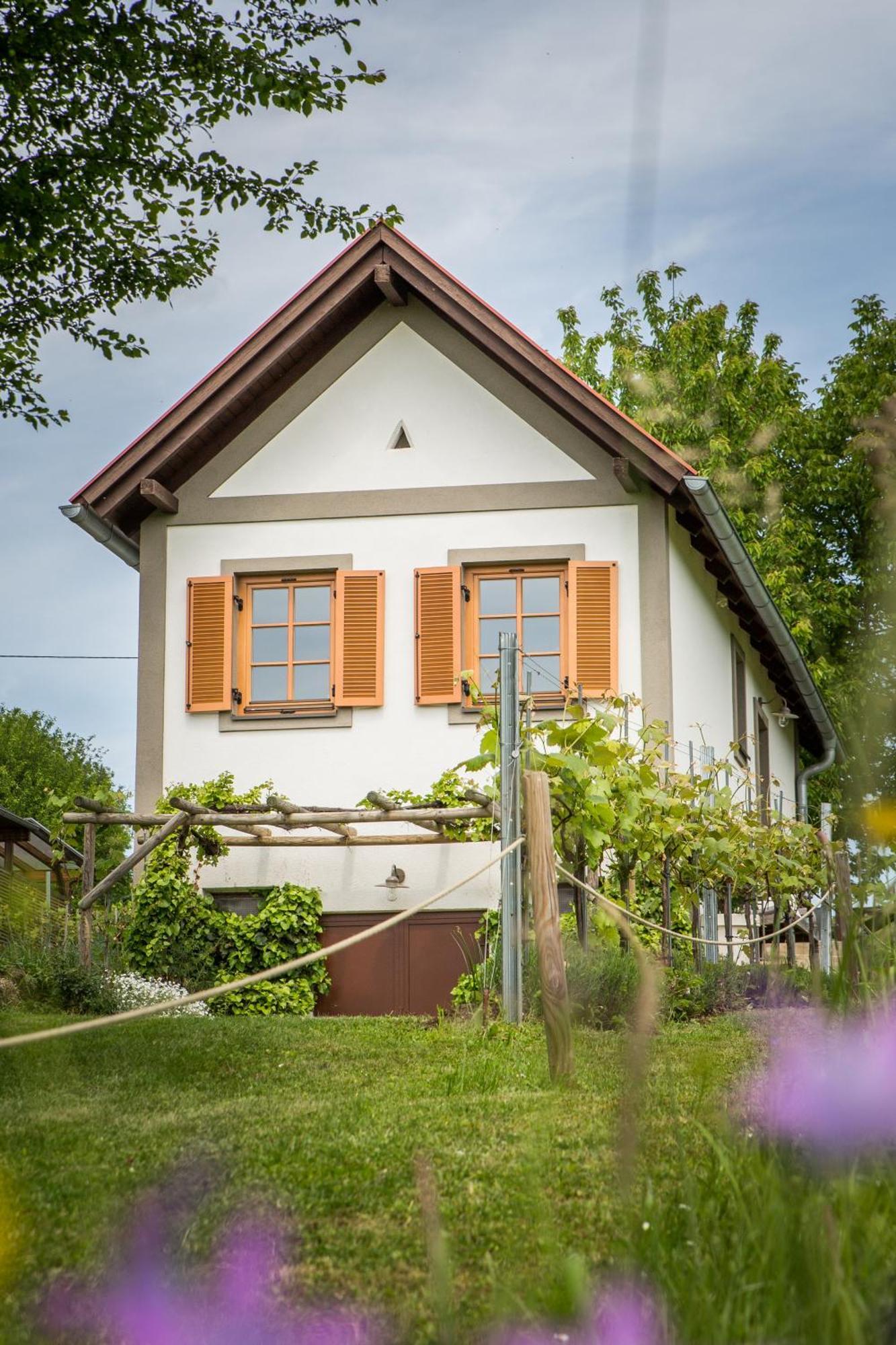 فيلا Weinlofts Weinloft I Edlitz im Burgenland المظهر الخارجي الصورة