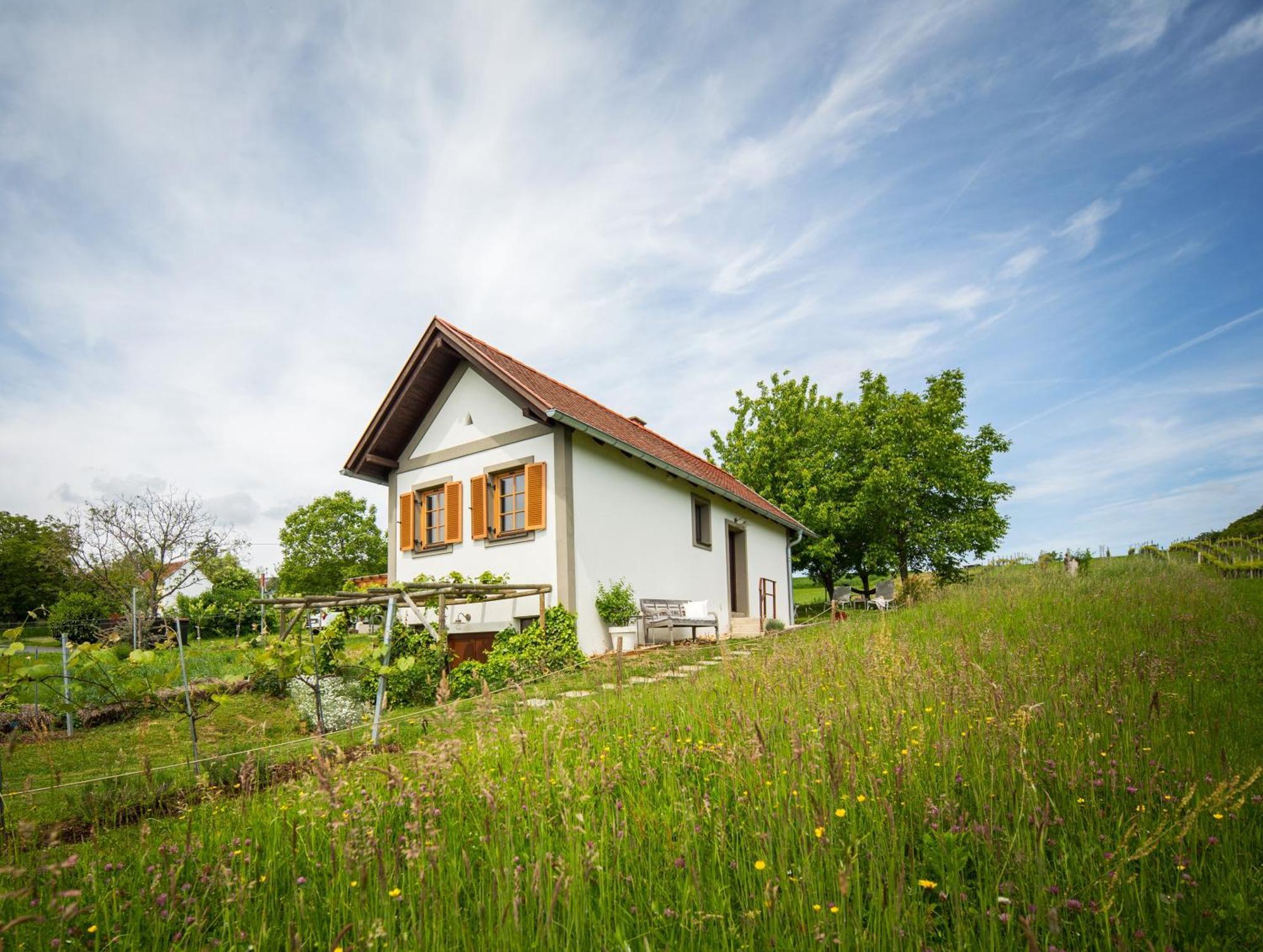 فيلا Weinlofts Weinloft I Edlitz im Burgenland المظهر الخارجي الصورة