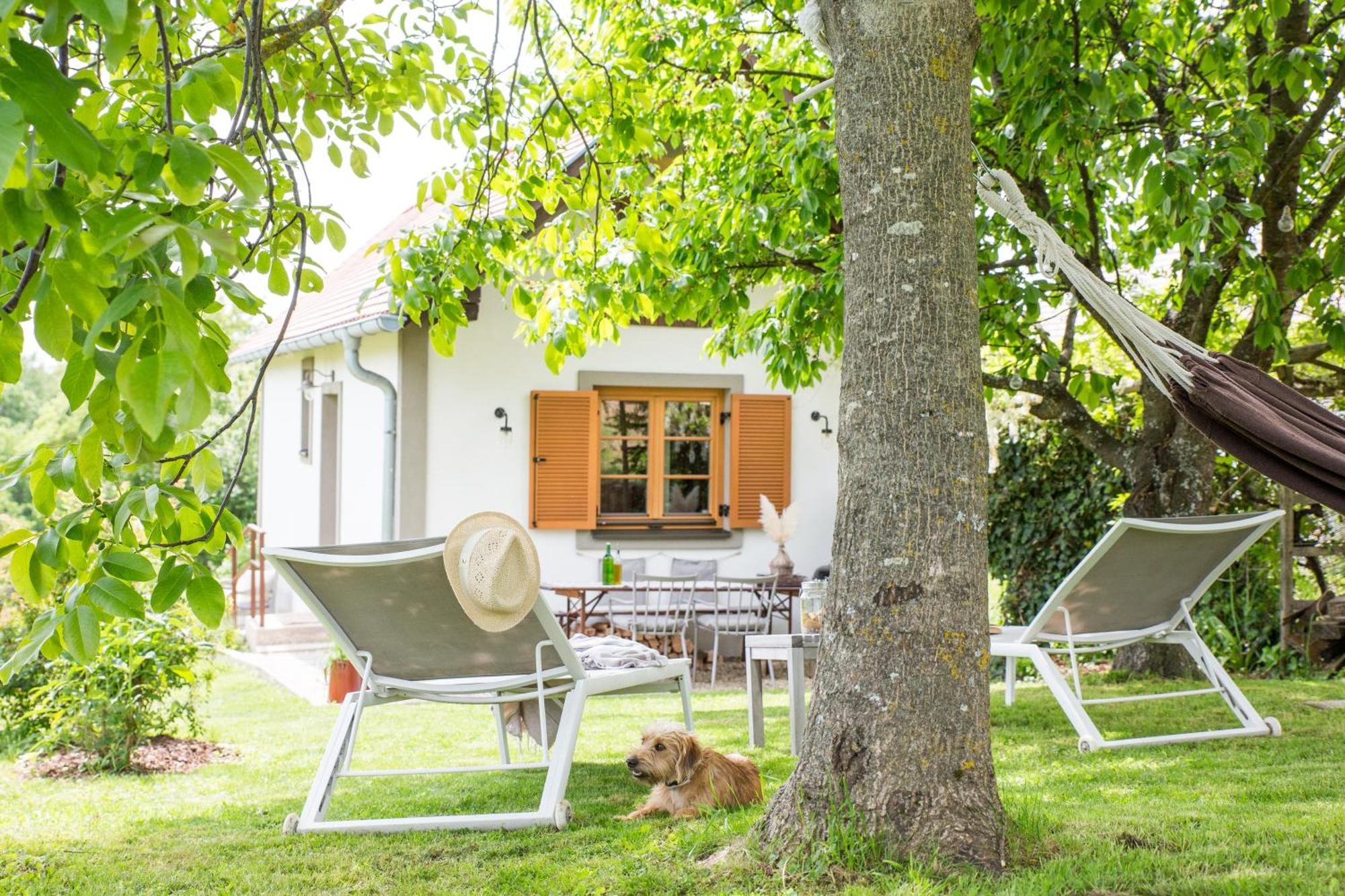 فيلا Weinlofts Weinloft I Edlitz im Burgenland المظهر الخارجي الصورة