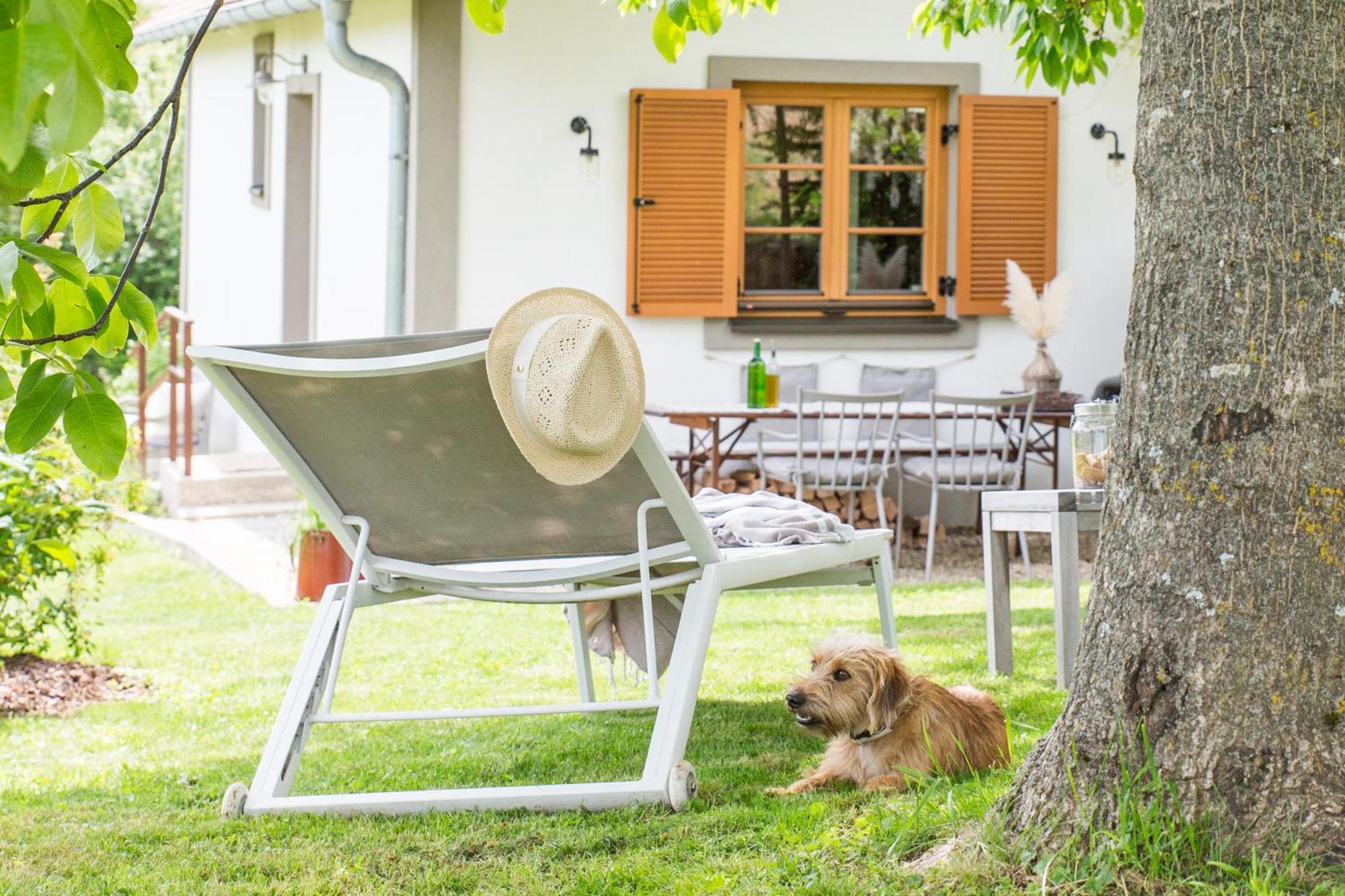 فيلا Weinlofts Weinloft I Edlitz im Burgenland المظهر الخارجي الصورة