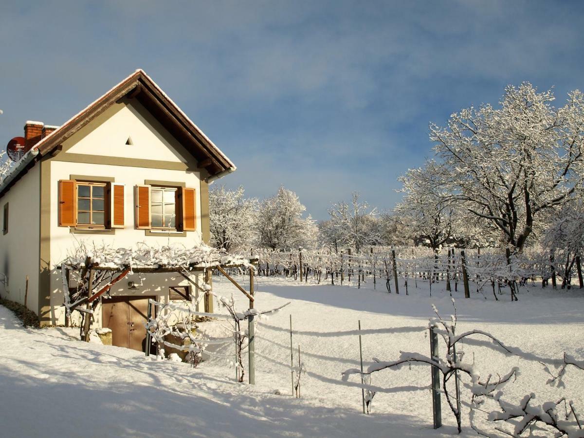فيلا Weinlofts Weinloft I Edlitz im Burgenland المظهر الخارجي الصورة